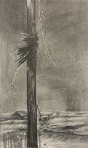 Софья Салехова, Россия