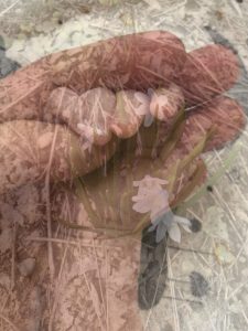 Юлия Расторгуева, Россия