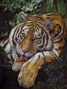 Светлана Колодяжная, Россия