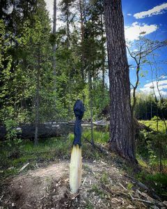 Валерий Мясников, Россия