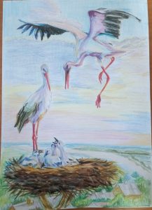 Маргарита Отрубенко, Молдова